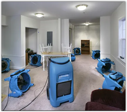 Drying & Dehumidification in Sea Cliff, NY
