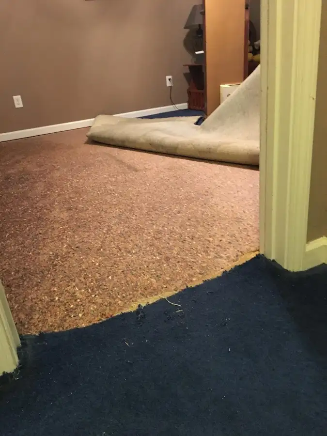 Carpet pad removal revealing water damage during Drying & Dehumidification in Sea Cliff