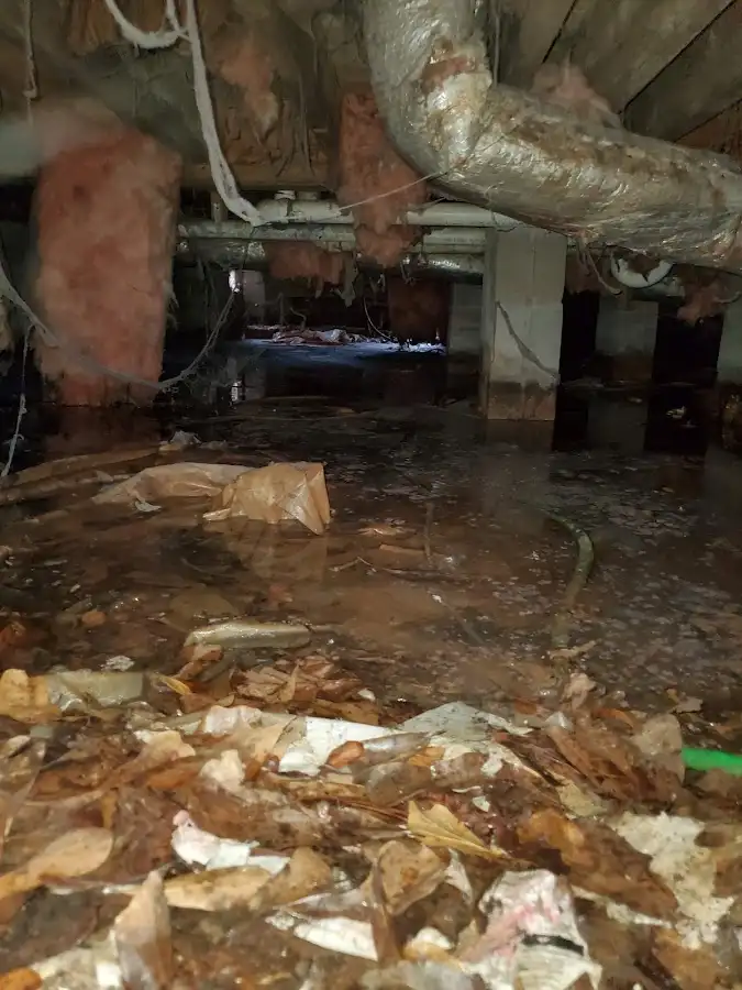 Crawl space flood assessment for Commercial Water Damage Restoration in Sea Cliff
