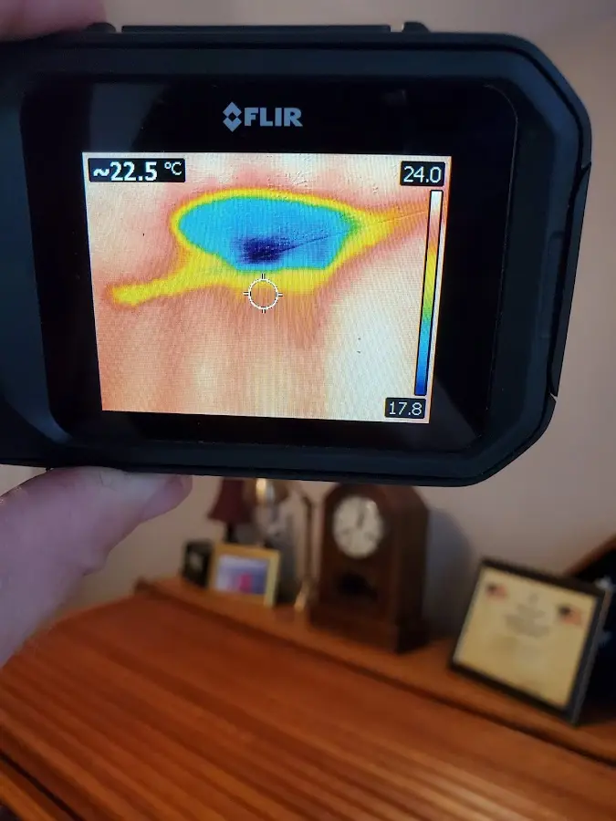 Thermal imaging inspection for water damage in Sea Cliff