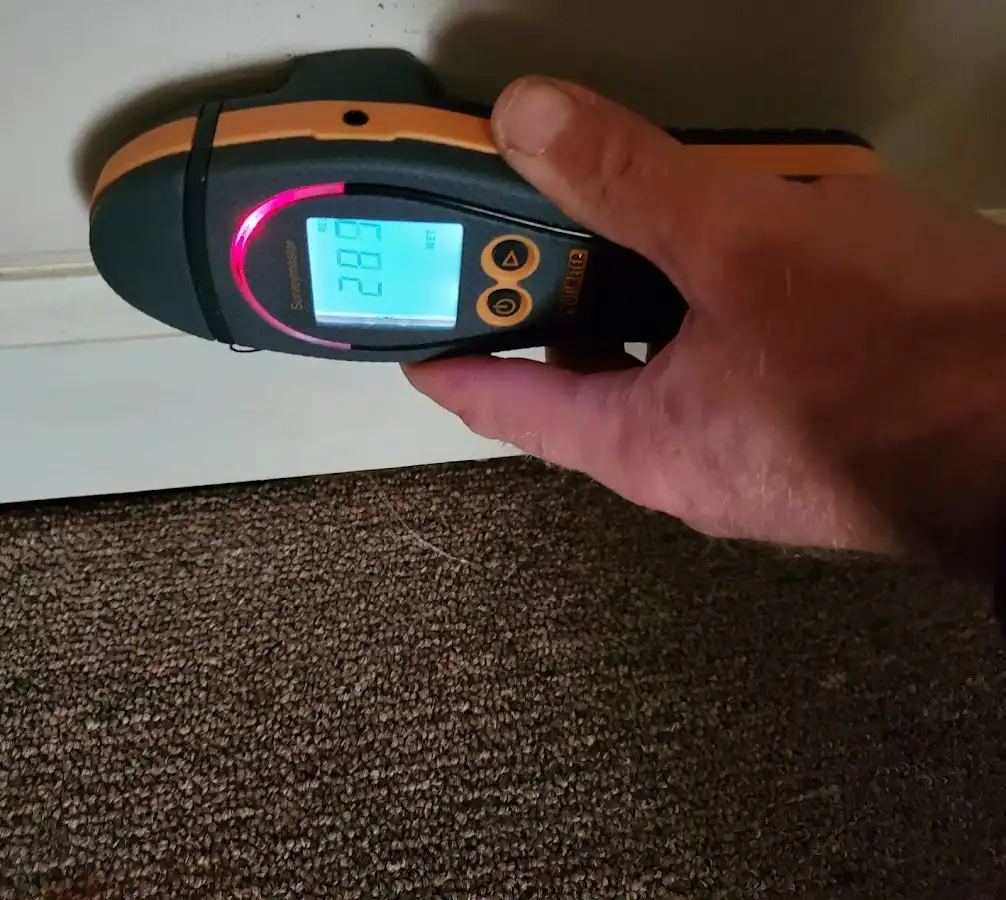 Moisture detection at baseboard during Sewage Cleanup & Sanitation in Sea Cliff
